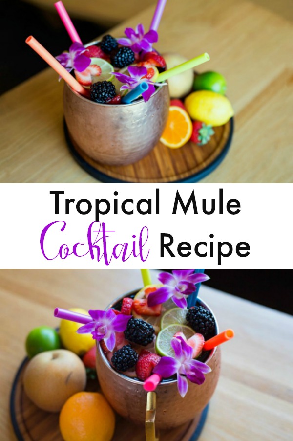 A simple and easy twist on the classic Moscow Mule cocktail. This tropical frink has a tiki vibe but is super simple. Make it a mocktail, too, by omitting the vodka