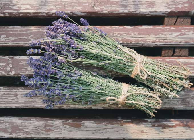 7 great health benefits of lavender