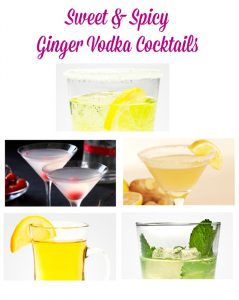 Cocktail recipes made with Ginger Vodka