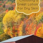 How to choose a lotion for dry skin