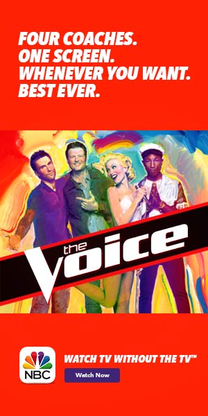 the voice graphic