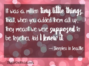 a million tiny things sleepless in seattle quote