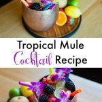 Tropical Mule Cocktail Recipe Alcoholic drink