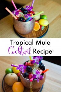 Tropical Mule Cocktail Recipe Alcoholic drink