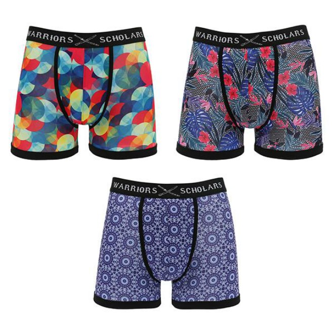 Stylish Men's Boxer Briefs  Men's Undies - warriorsandscholars