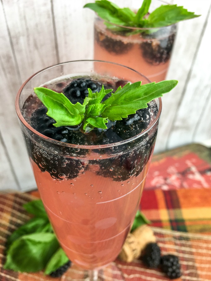 Blackberry Sparkler low carb cocktail