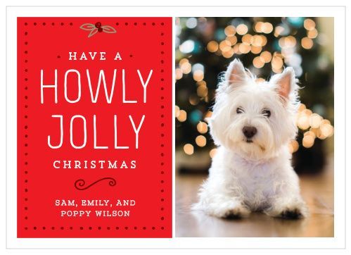 Howly Jowly Christmas Card from Basic Invite