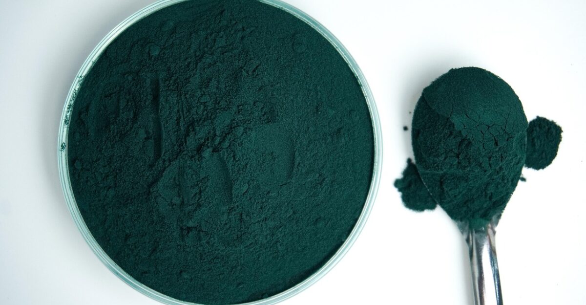 spirulina powder substance green product grain spirulina powder spirulina powder spirulina powder spirulina powder spirulina powder product
