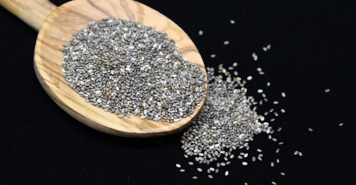 chia seeds chia mexican chia salvia hispanica chia seeds chia seeds chia seeds chia seeds chia seeds