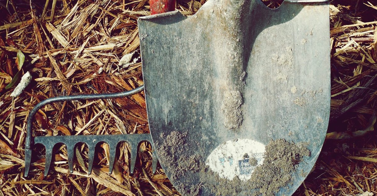 shovel rake dirt farm garden hand tools nature labor metal tools