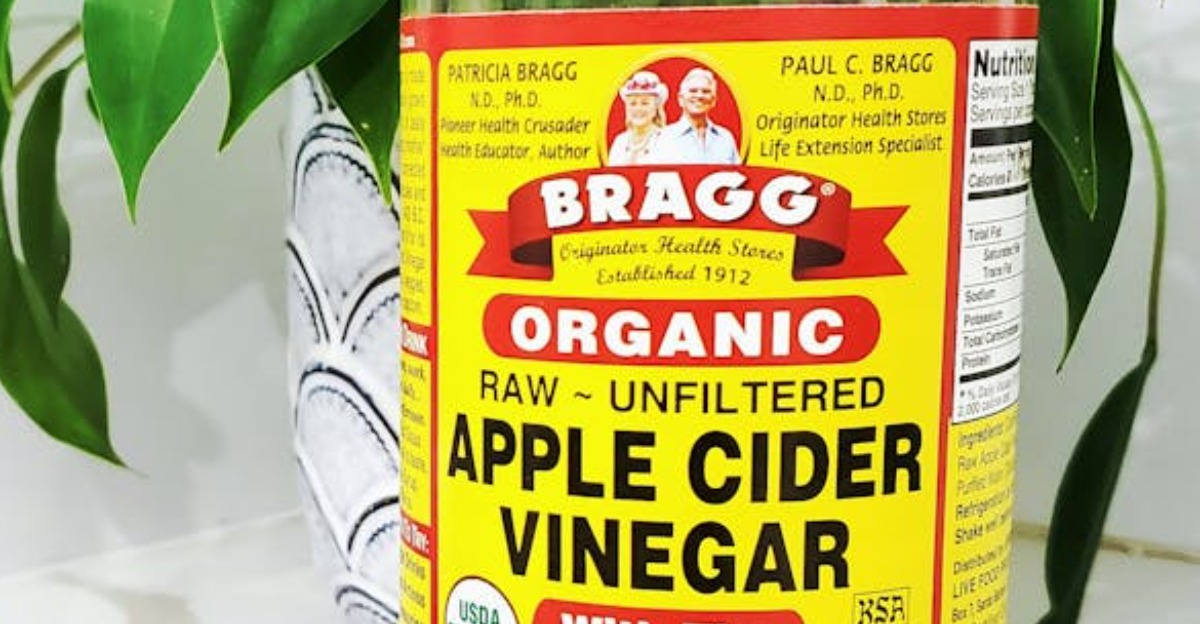 Apple cider vinegar bottle with spray bottle and spoon near an indoor plant.