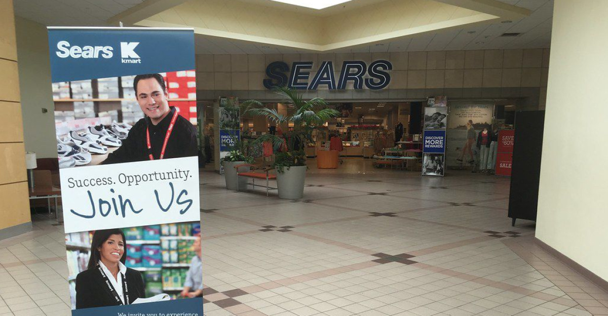 Sears by Michelle Murphy