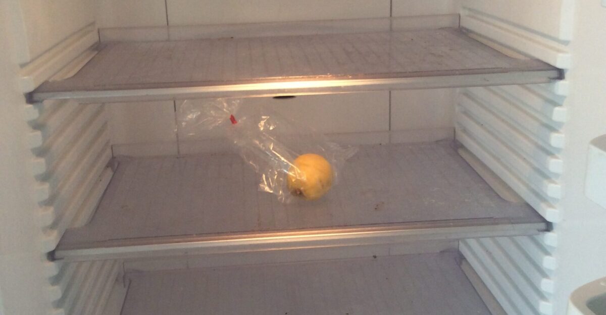 Empty fridge