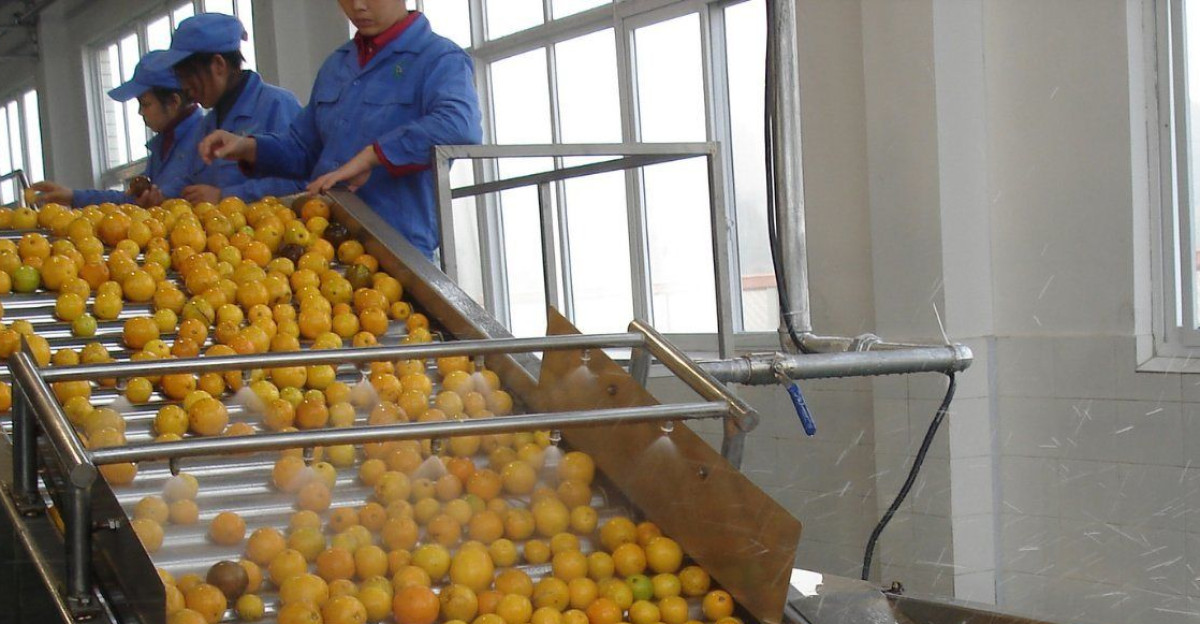 fruit and vegetable washing machine by Zarko Kitanovic