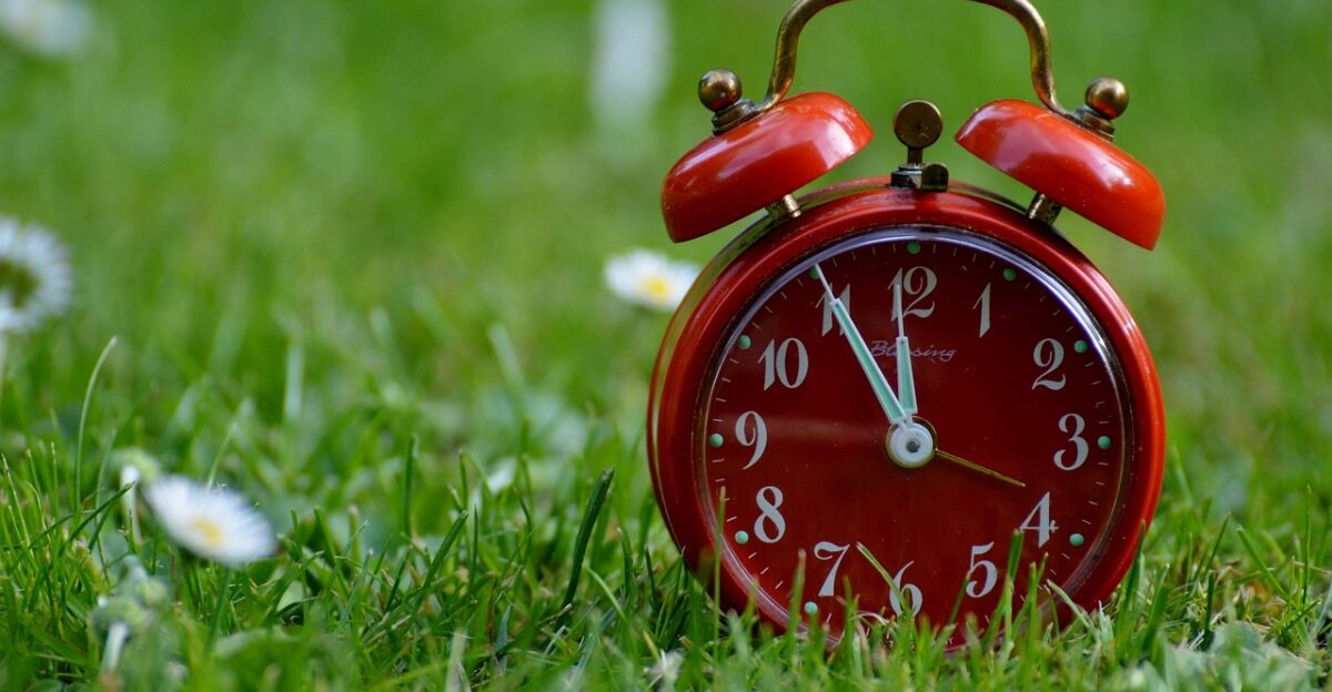 the eleventh hour catastrophe alarm clock clock flower background ring the bell dial pointer hours nature time display time meadow beautiful flowers flower wallpaper flower green