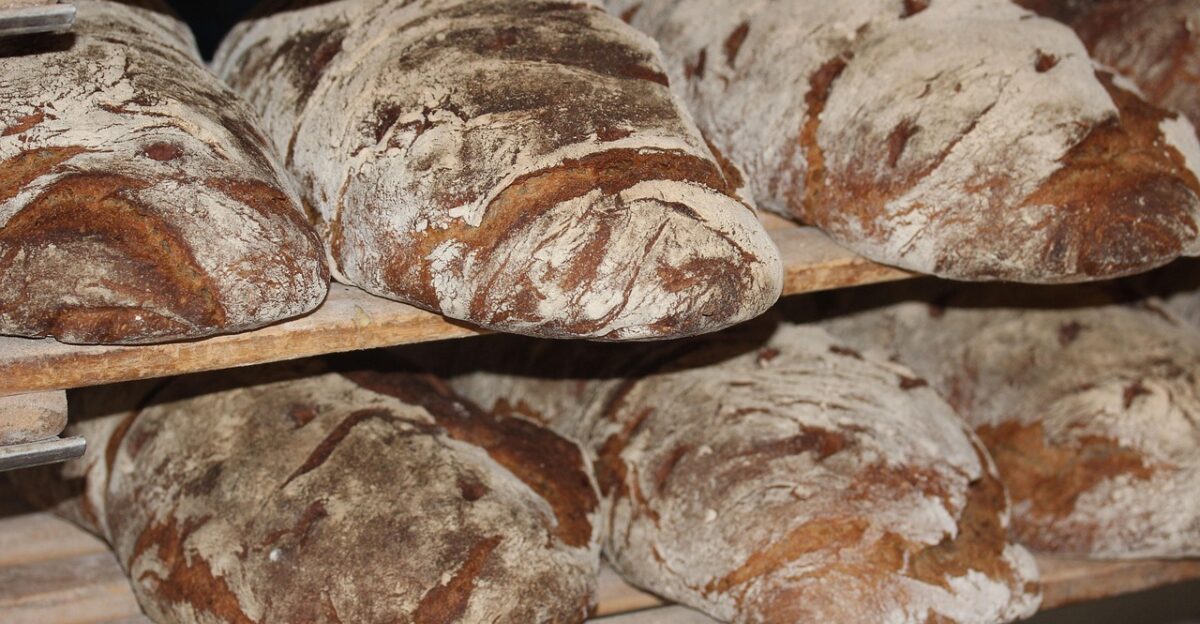 bread loaves bakery loaves of bread fresh bread freshly baked dough artisan bread flour yeast food healthy carbohydrates baker homemade baked baked goods bread bread bread bread bread bakery