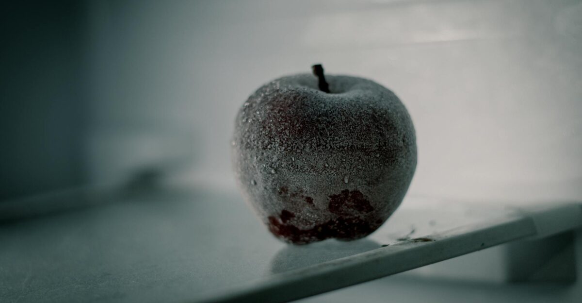 Close-up of a frosted apple inside a refrigerator illustrating cold storage