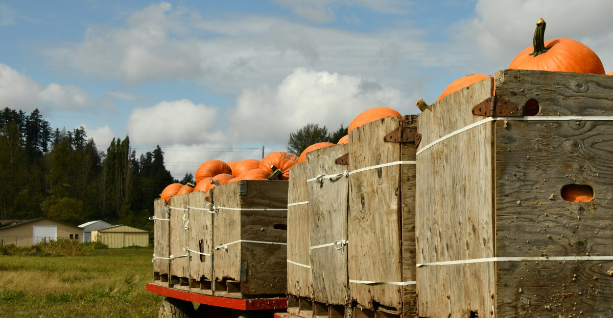 brown wooden trailer on green grass field during daytime