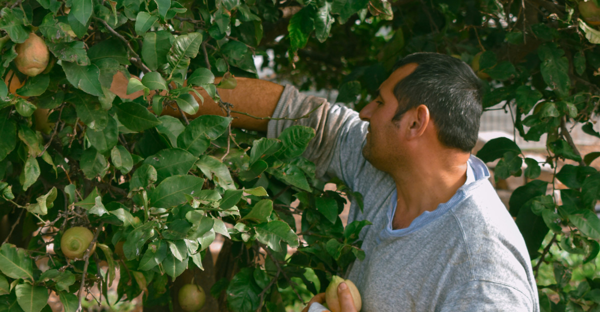 man in gray crew neck t-shirt holding green plant during daytime