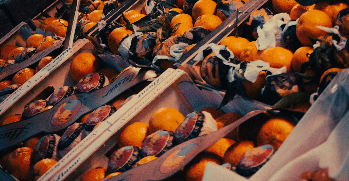 a display of oranges in a store window