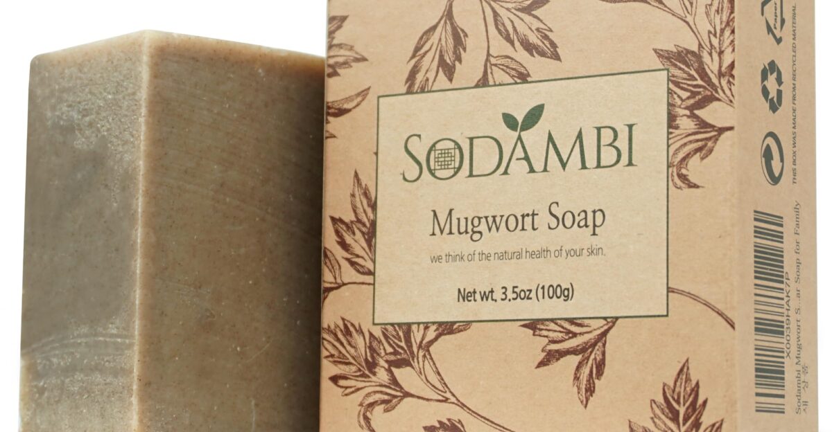 Amazon com sodambi Mugwort Soap - Premium Korean All-Natural